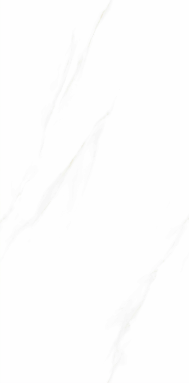 Time Cielo Polished 24 x 48